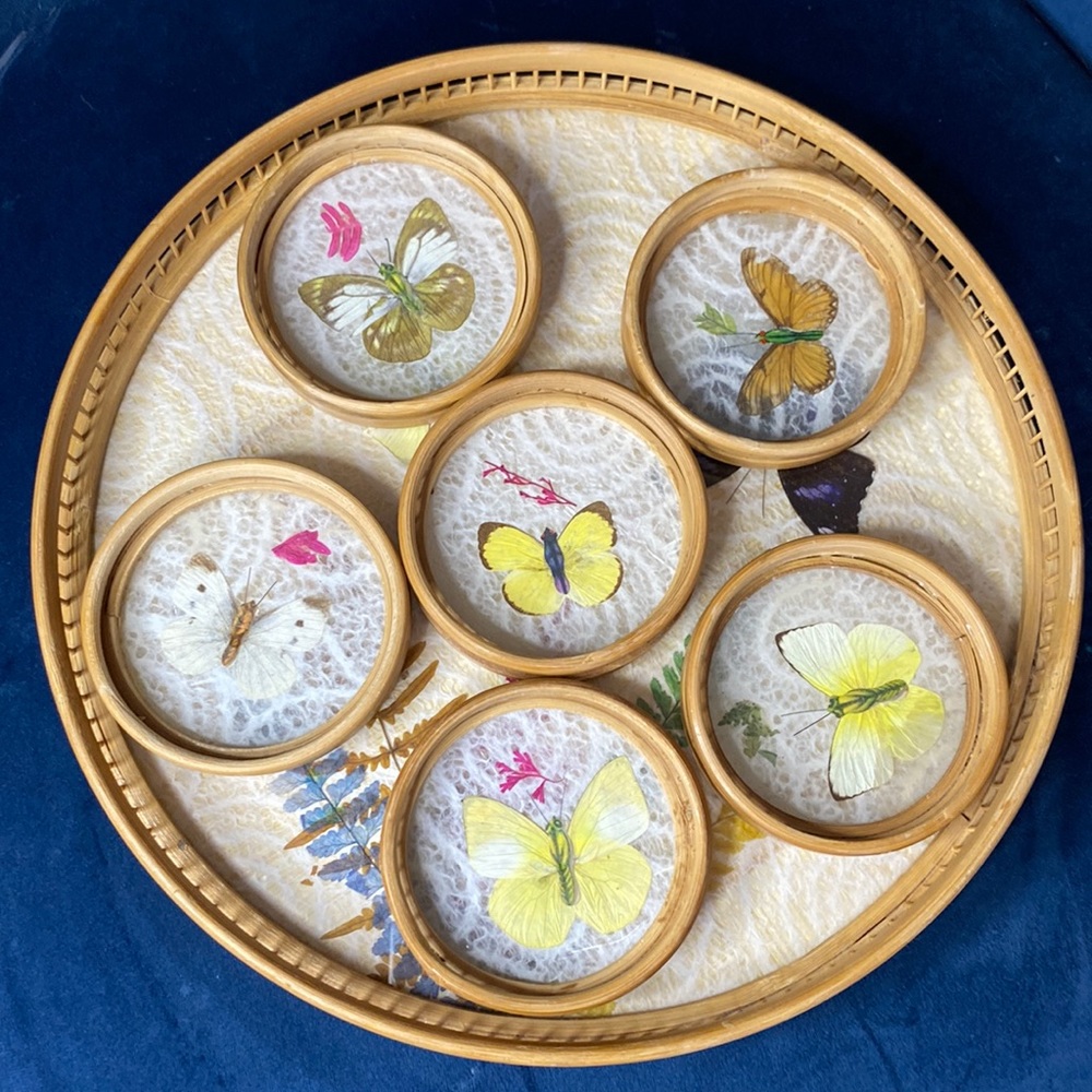 Vintage real wing butterfly bamboo coaster 7 piece set and serving tray
